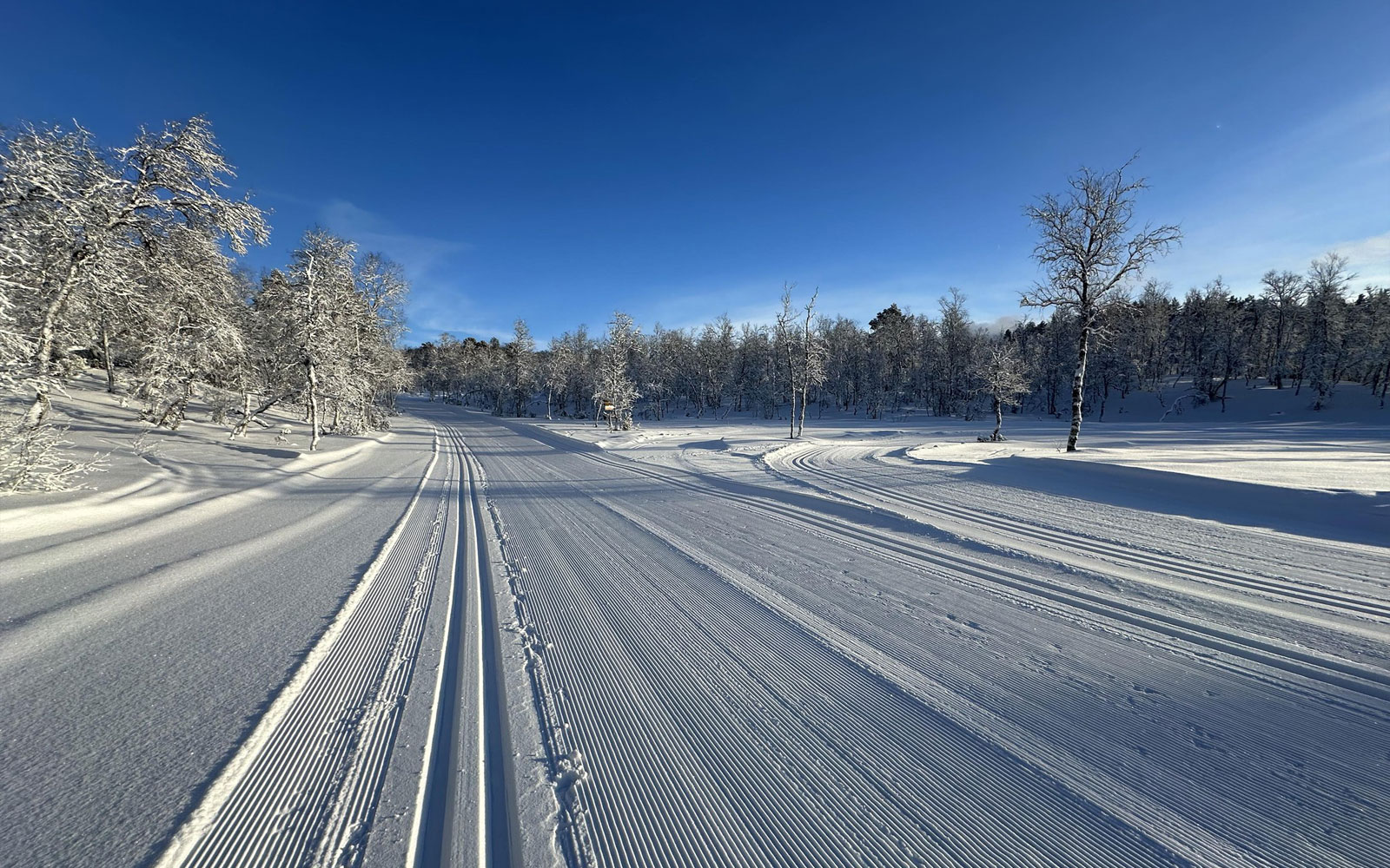 Seimsasen_800x500_Klingenberg