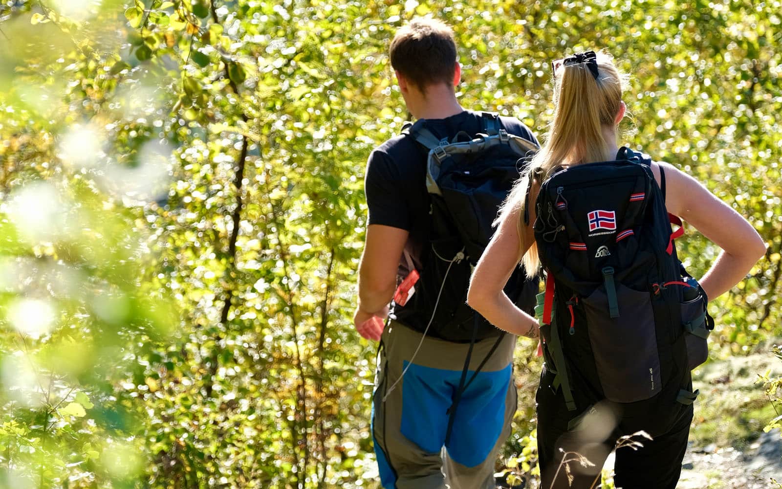 Resort_1600x1000_2025_36_27